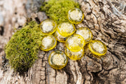 sharing stones with cremation ash